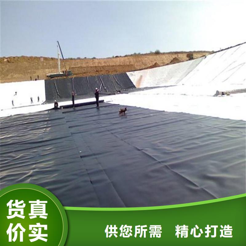 土工膜-双向土工格栅质量层层把关本地制造商