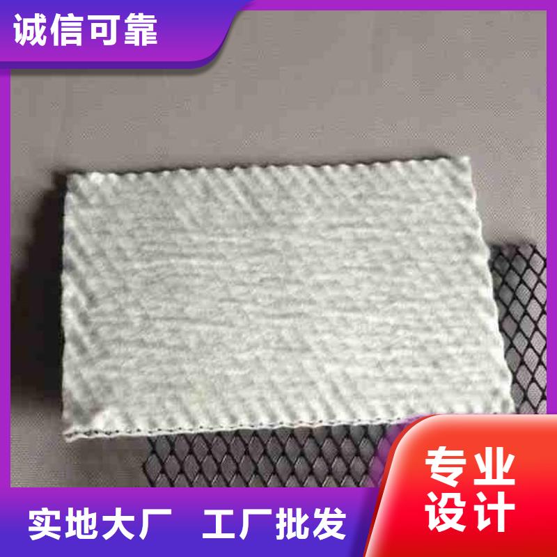 三维复合排水网_【防渗膜】我们更专业同城生产商