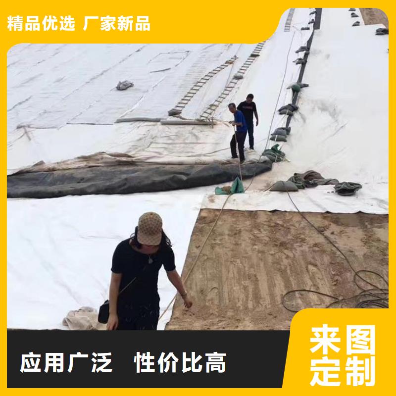 三维复合排水网反滤土工布颜色尺寸款式定制当地经销商