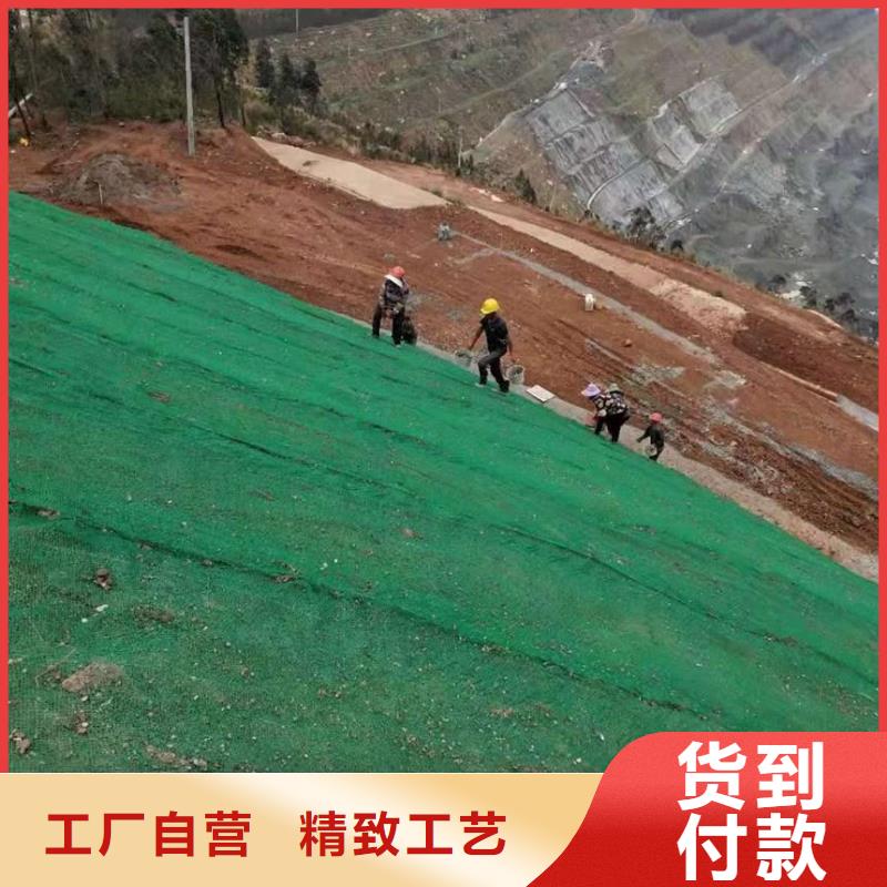 三维植被网-单向塑料土工格栅设计合理直销厂家