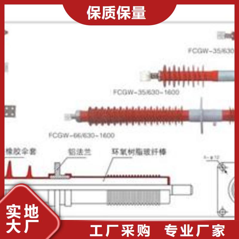 FCGW-20/400A高压复合穿墙套管分类和特点