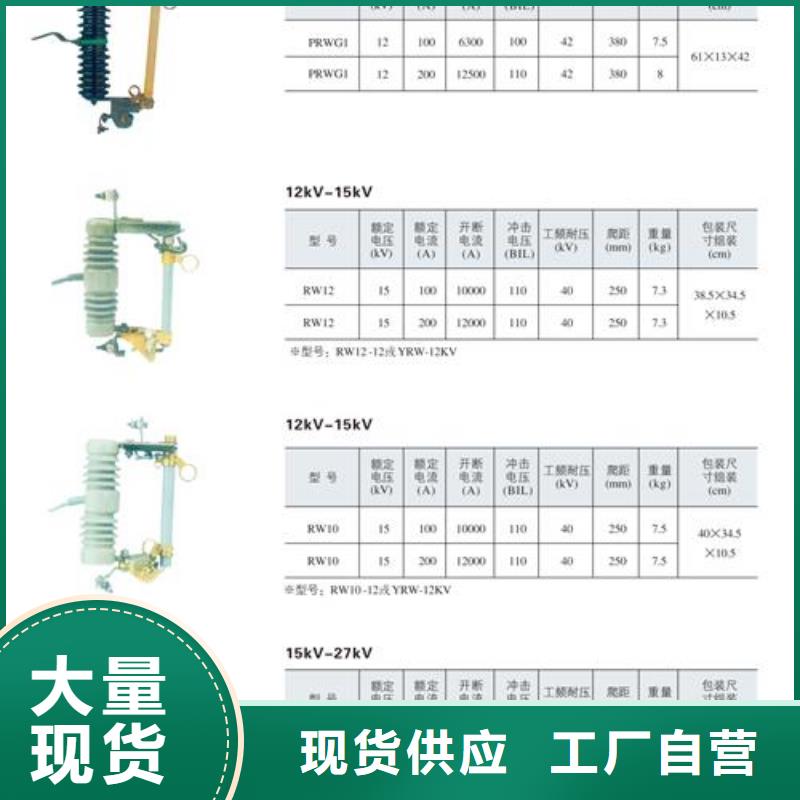 XRNT-12/100A高压熔断器厂家附近供应商