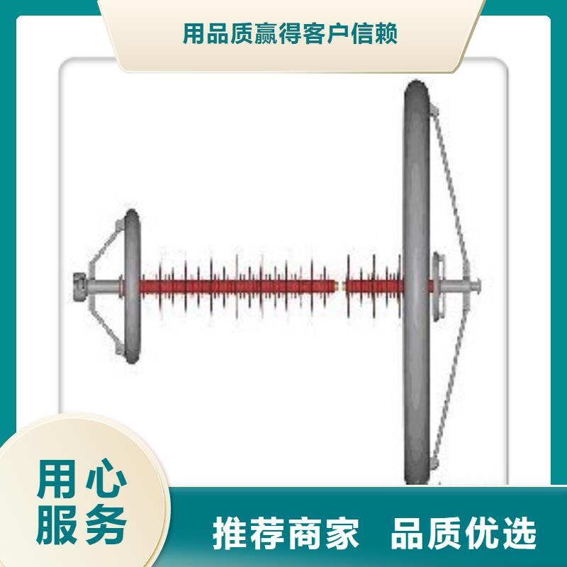 ZS-220/850高压绝缘子樊高电气诚信经营质量保证