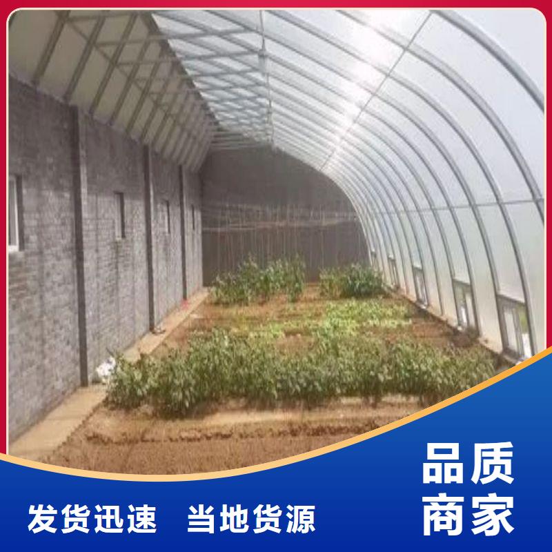 虎丘种植棚口碑好款式新颖