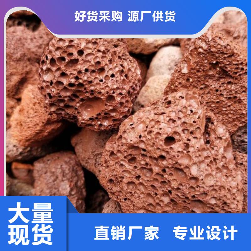 反硝化池用活山岩生产厂家交货准时