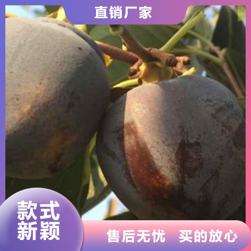 ​【柿子】奶油草莓质优价廉附近品牌