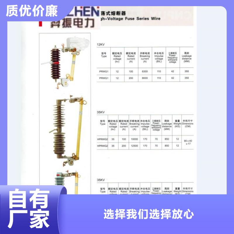 高压熔断器/HRW11-12KV/100A优质货源