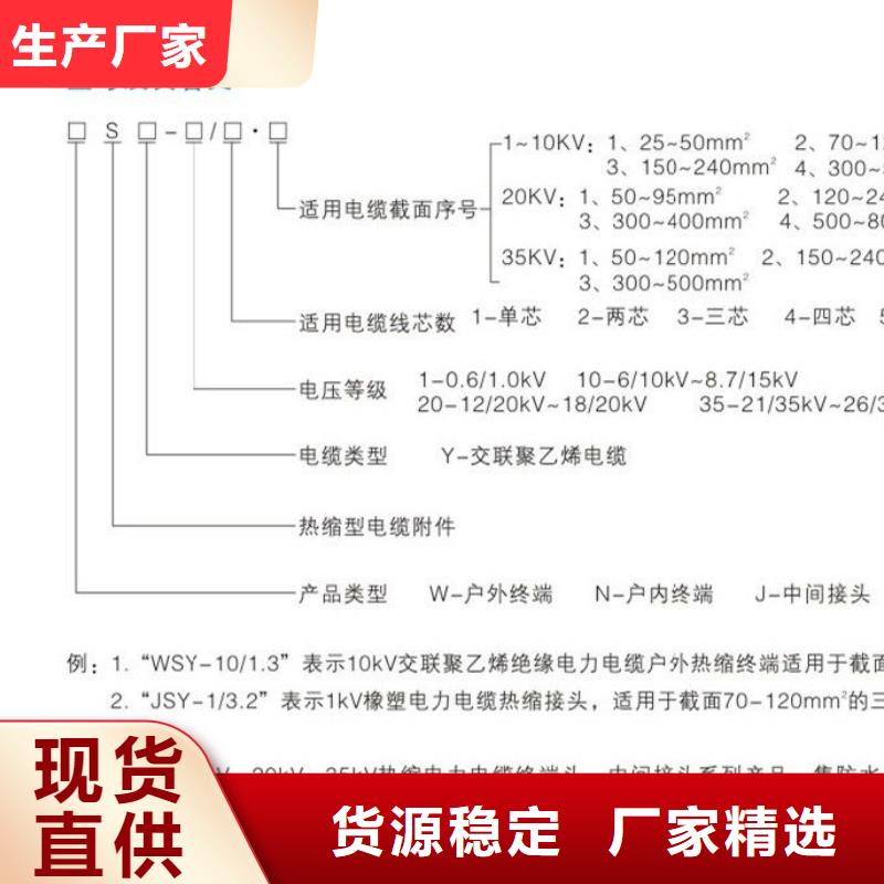 【】户外热缩电缆终端头WRSY-24/3.1品质有保障