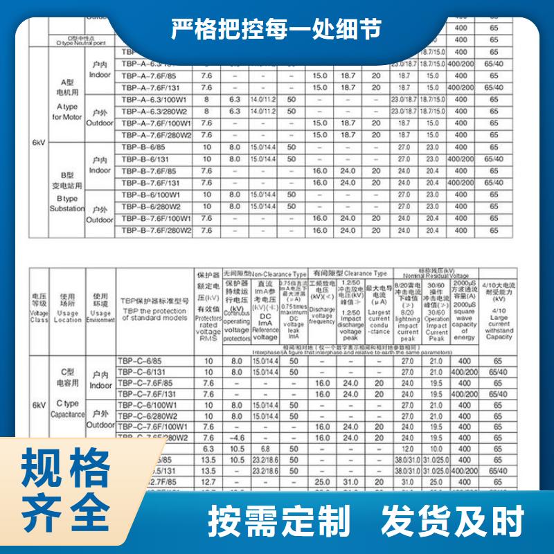 【过电压保护器】TBP-B-10.5/131附近制造商