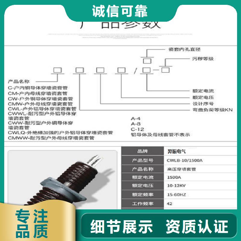 交流穿墙套管,AC35KV,陶瓷,2500A,无CT,铝.当地货源