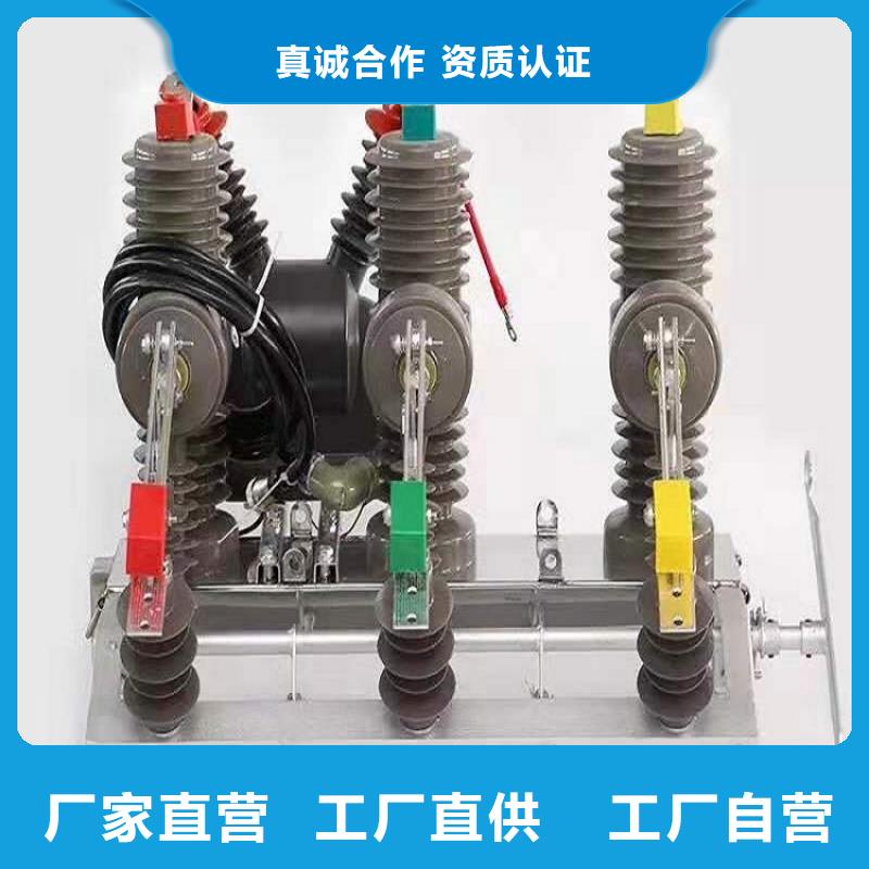 品牌【羿振电气】户外高压断路器ZW32-12/630-20同城生产厂家