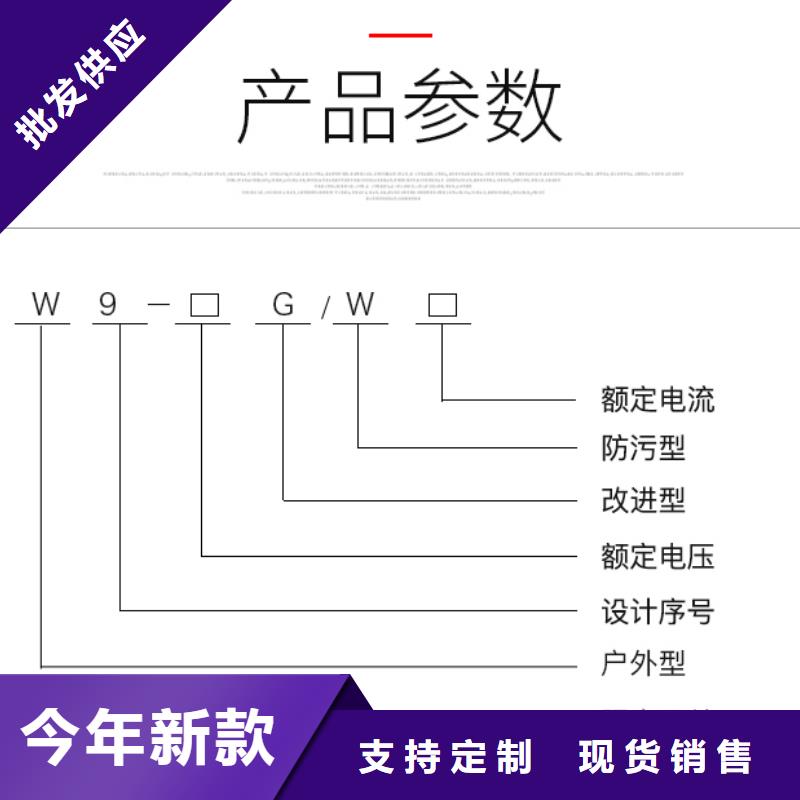 【隔离刀闸】HGW9-20G/200A附近厂家