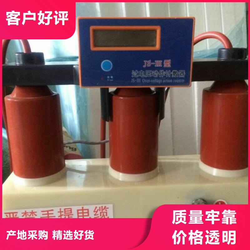 【】保护器(组合式避雷器)TBP-Y-C/35-T组合过电压保护器用心做好每一件产品