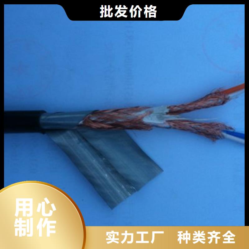 计算机屏蔽电缆DJVVP3-223X0.75全品类现货