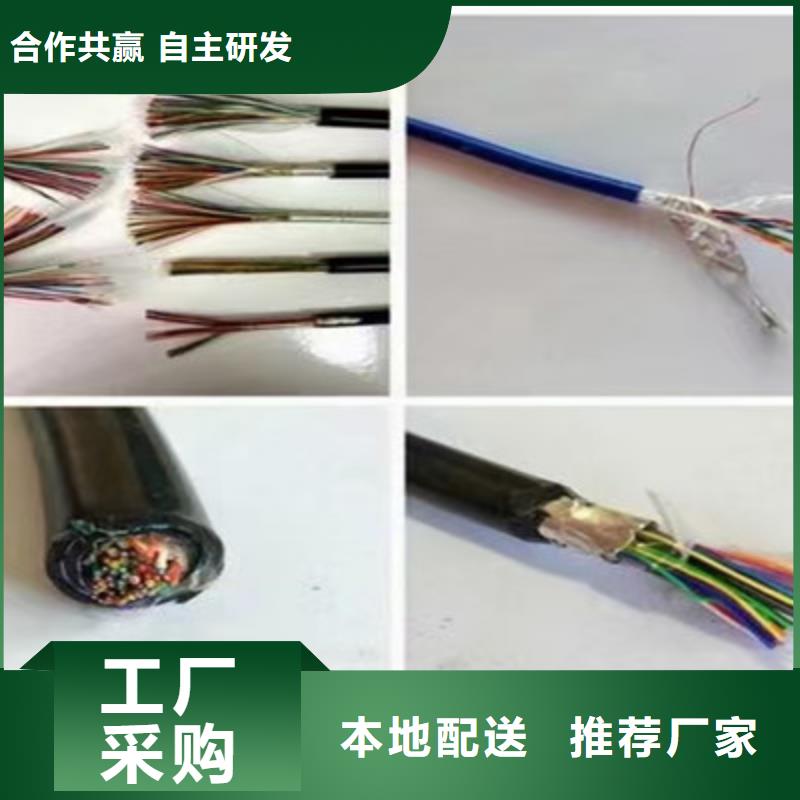 耐火计算机电缆NH-HBIYP2YVZ22-II厂家量身定制品质保证