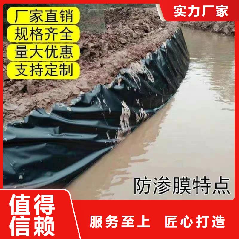 土工防渗膜-黑膜沼气池排气排渣-泥鳅防渗土工膜本地公司