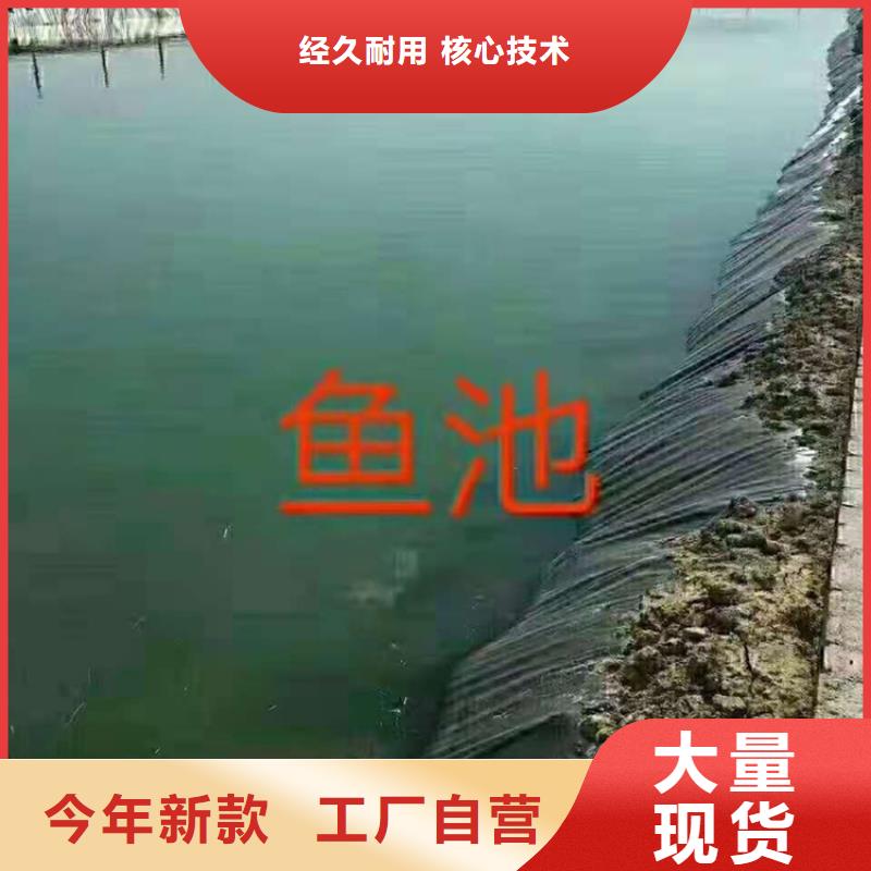 高密度聚乙烯土工膜资讯详情附近货源