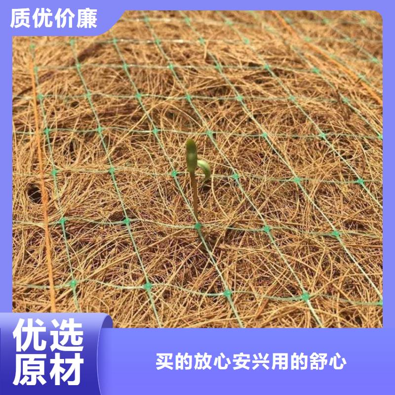 椰丝植生毯-麻椰植被毯-纤维草毯同城货源