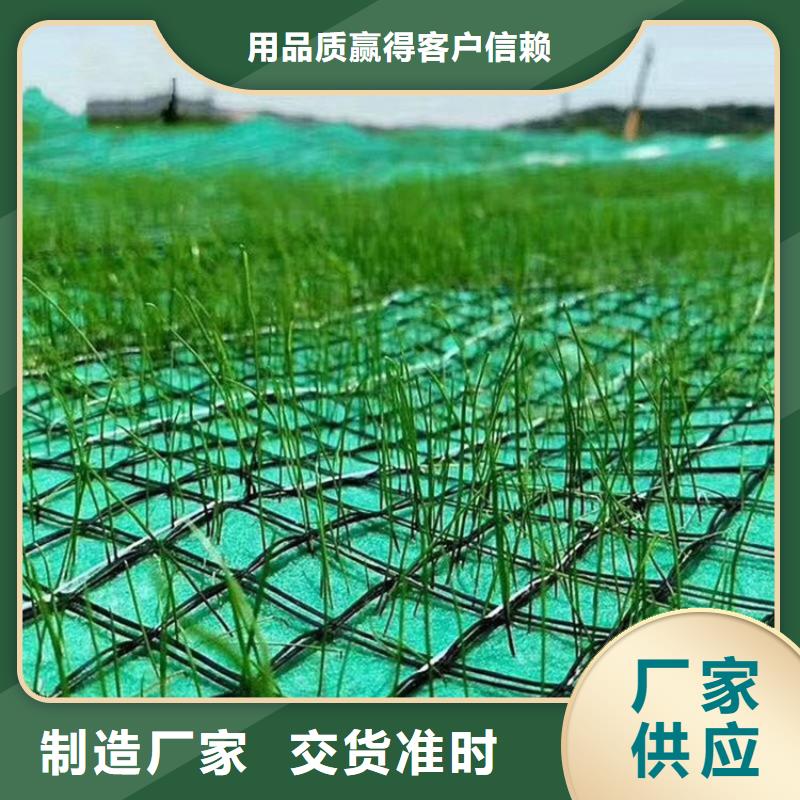 ​植生椰丝毯加筋抗冲生物毯防渗-渗排水信誉至上