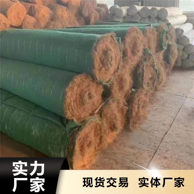 生态环保草毯供应经销实体厂家大量现货