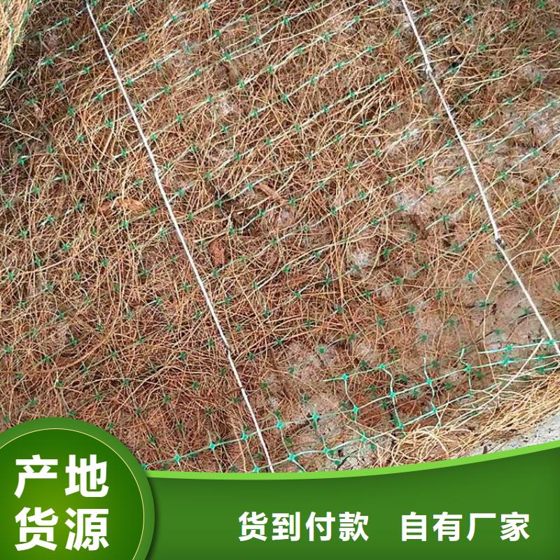 椰纤植生毯加筋抗冲生态毯提供施工经销商