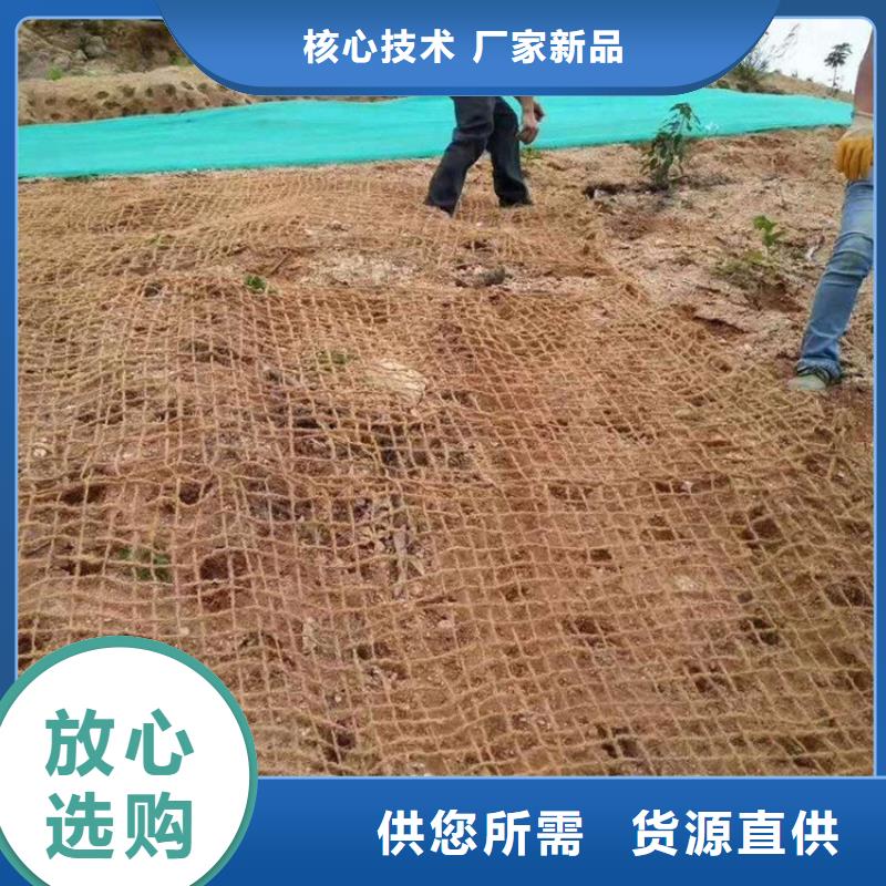 植生椰丝毯生态环保草毯实力商家供货稳定