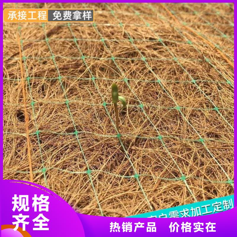 椰纤植生毯加筋抗冲生物毯厂家