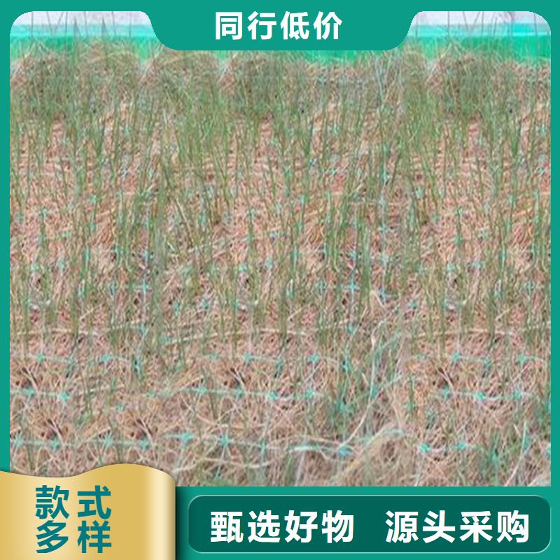 椰丝植生毯-椰棕植生毯-抗冲植物毯品质无所畏惧