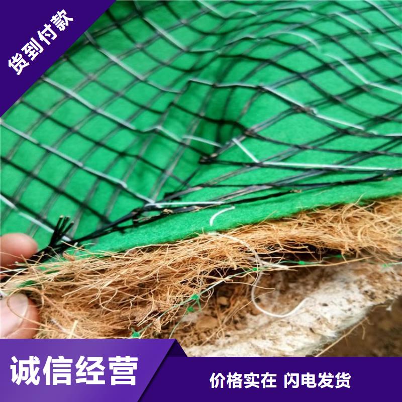 ​植生椰丝毯植物生态防护毯好品质用的放心