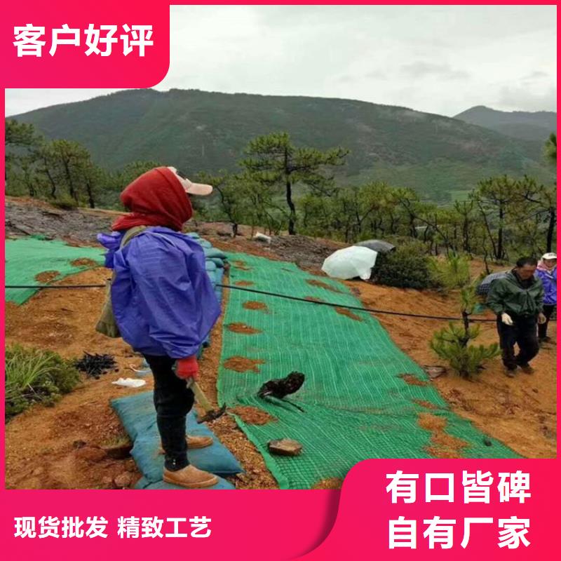 植物生态防护毯-加筋麻椰固土毯做工精细