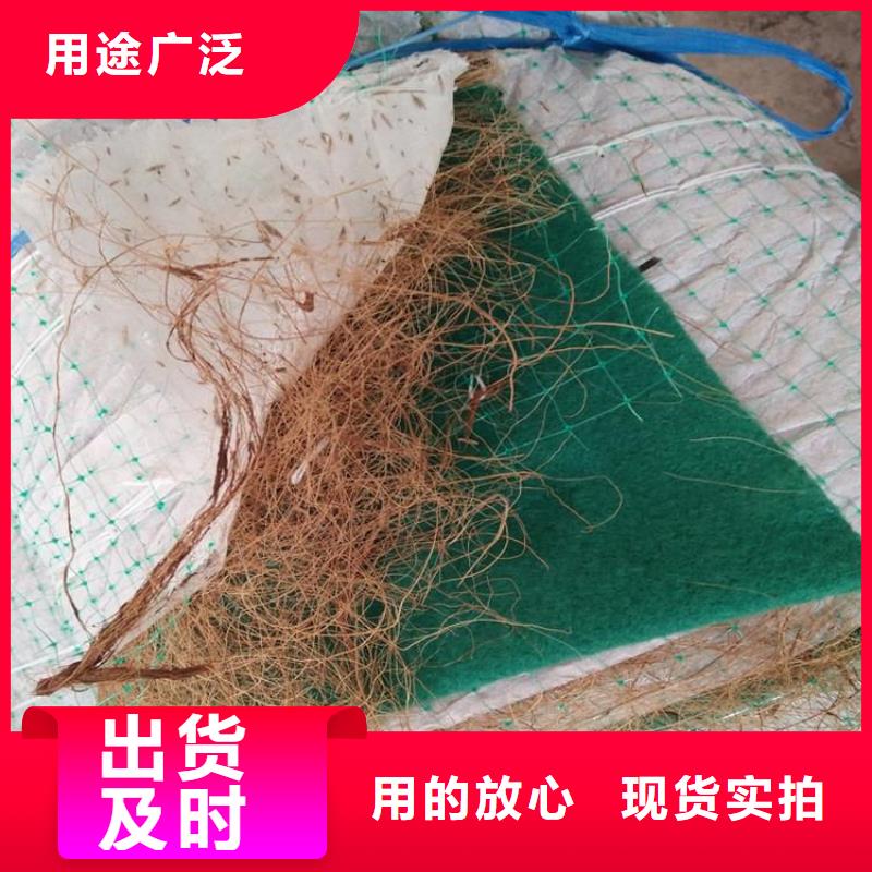 生态环保草毯-加筋抗冲生态毯规格适用范围广