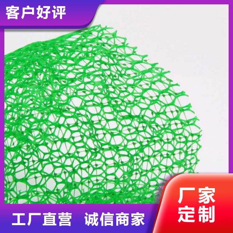 三维植被网硬式透水管现货直供附近公司