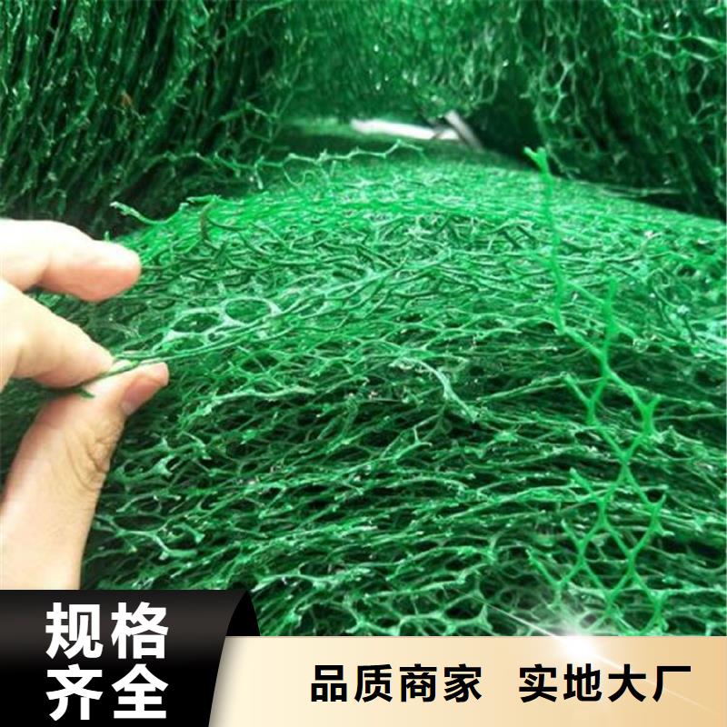 EM4三维固土网垫-三维网植草护坡实力派厂家