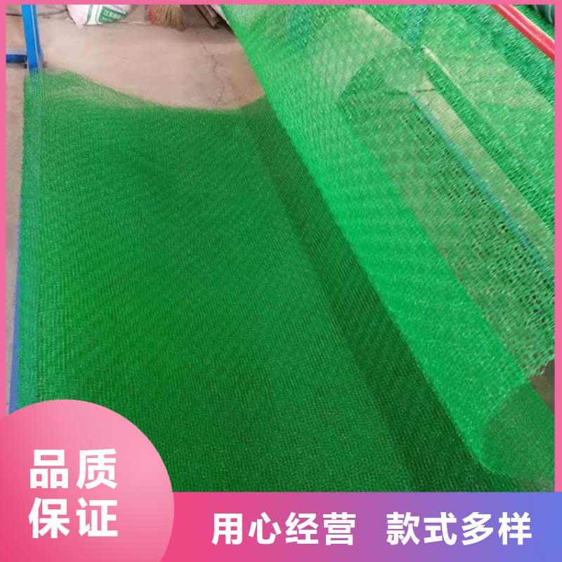 三维植被网-双向塑料土工格栅专注产品质量与服务厂家十分靠谱