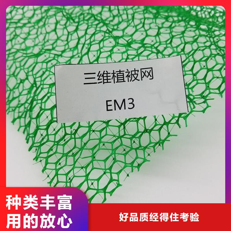 【三维植被网-无纺布选择我们没错】专业生产设备