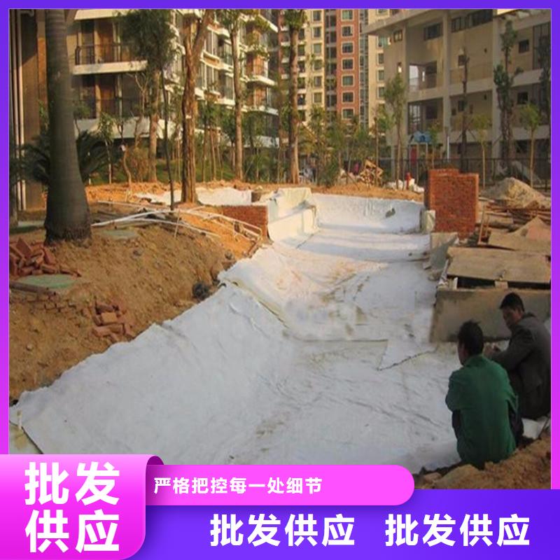 膨润土防水毯【防渗膜】市场报价买的是放心