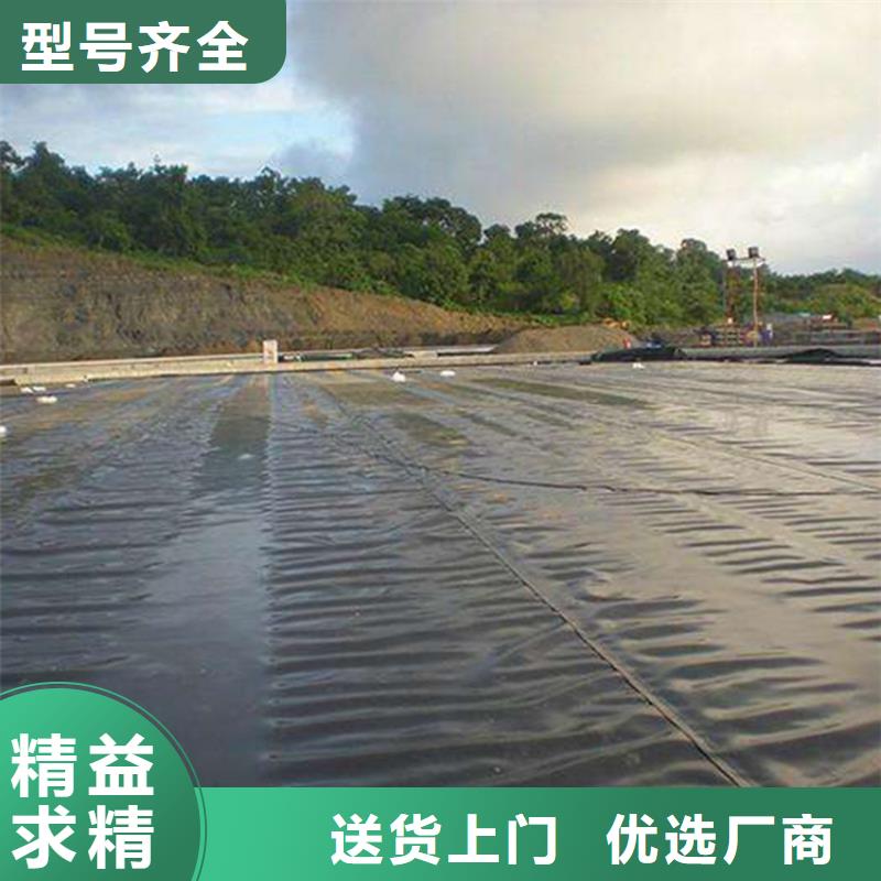 污水池防渗土工膜-渠道防渗土工膜出厂价