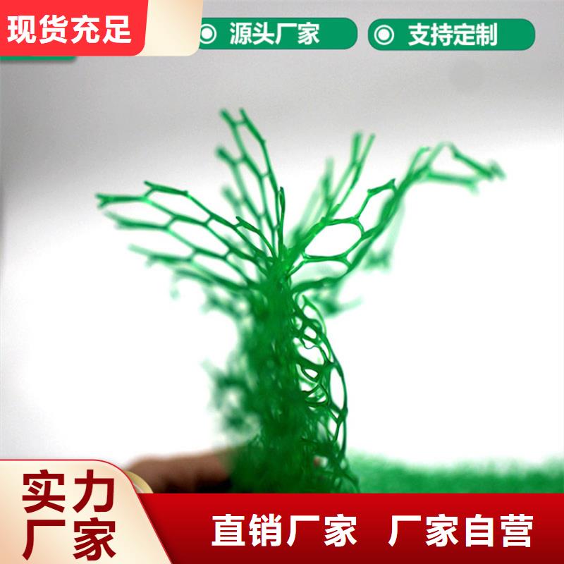 三维植草护坡网垫-绿色三维土工网垫选择我们没错