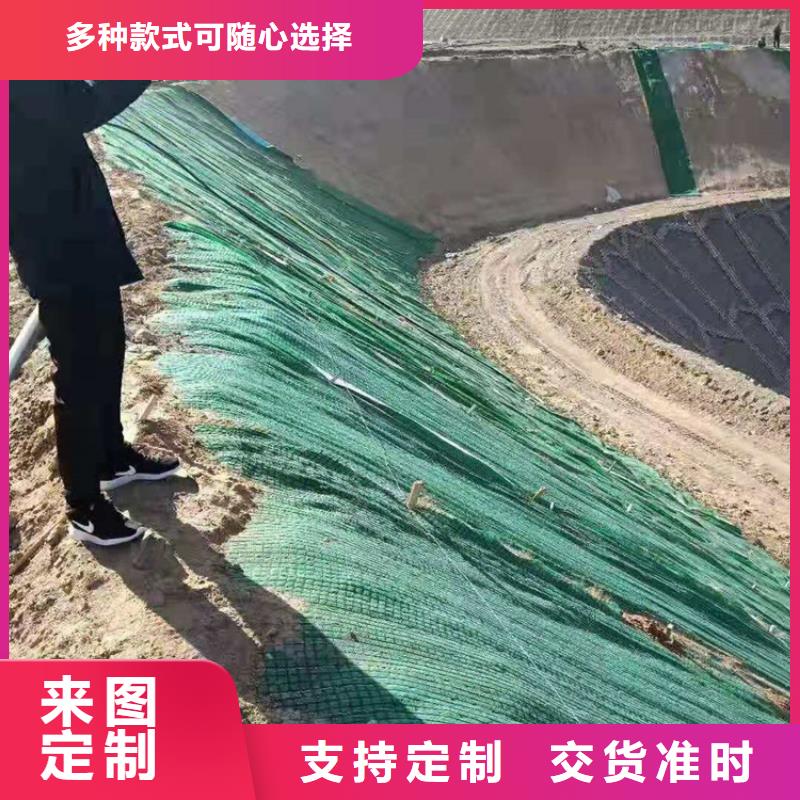 植生椰丝毯本地生产厂家