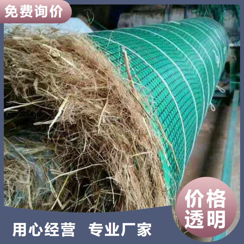 生态环保草毯-生态植被垫设备齐全支持定制