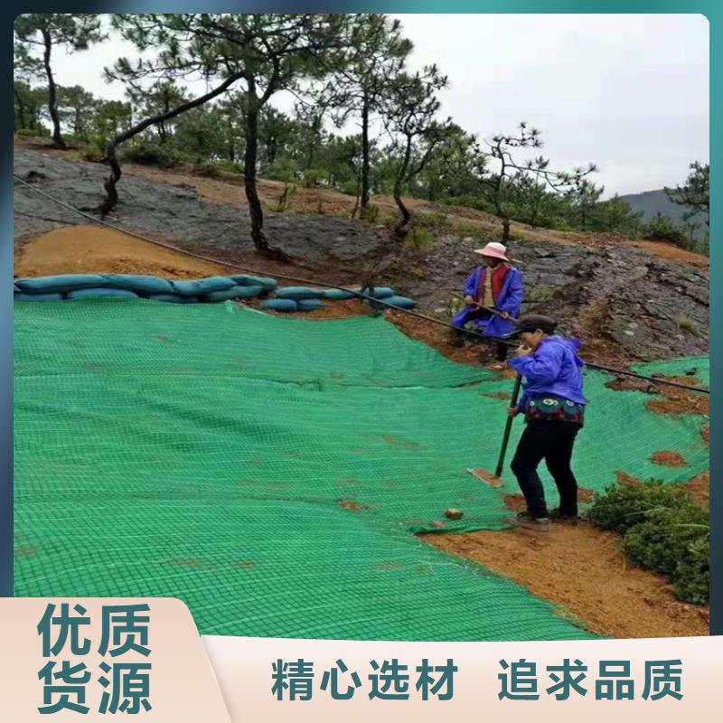 植物生态防护毯-护坡植被植草毯-抗冲植生毯当地供应商