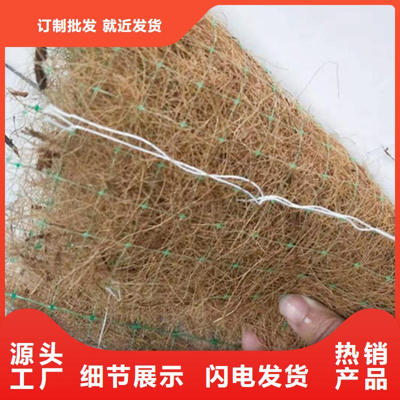 护坡植被植草毯-生物草毯生态垫本地品牌