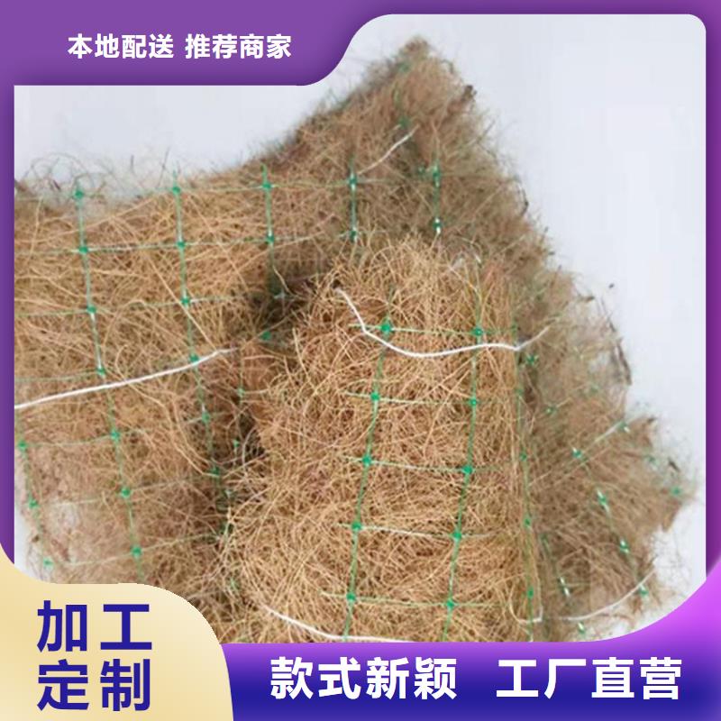 椰纤植生毯-加筋抗冲生物毯本地生产商