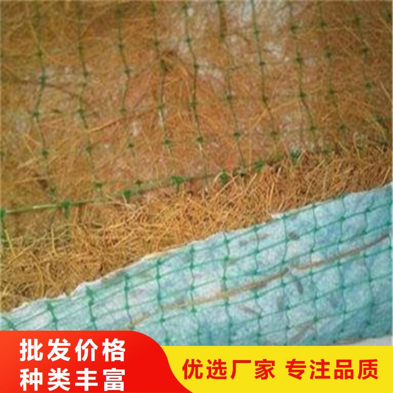 【椰丝毯】双向塑料土工格栅质量安全可靠同城货源