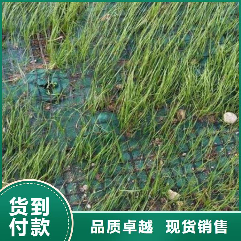 植物纤维毯-植被纤维毯附近公司