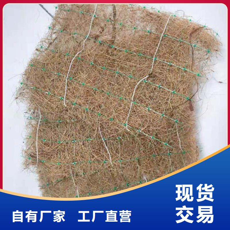 植生椰丝毯-加筋抗冲生物毯生产型