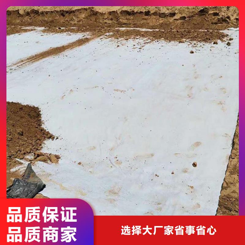 膨润土防水毯土工膜把实惠留给您同城厂家