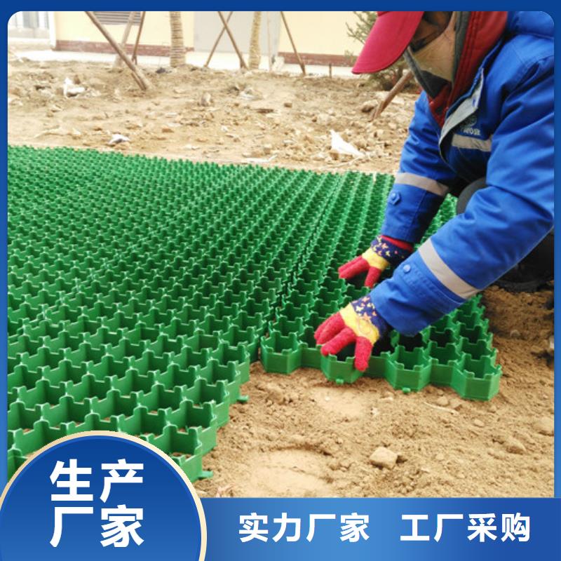 塑料植草格订购方式本地厂家