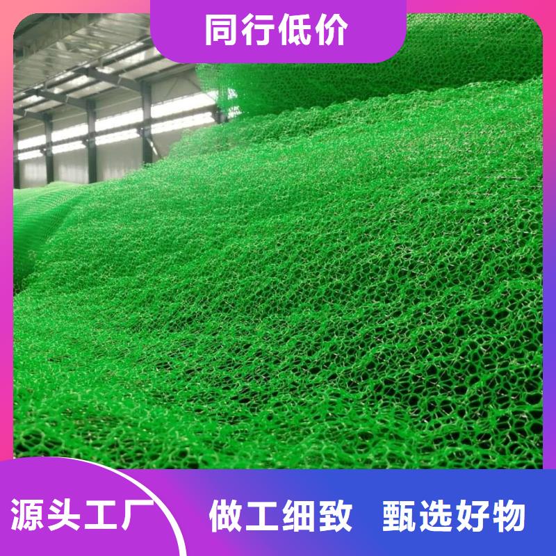 三维植被网价格-生产厂家品质可靠