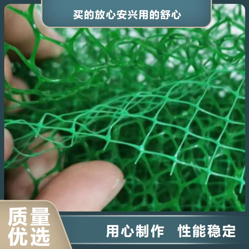 【三维植被网】植草格快速生产随心所欲定制